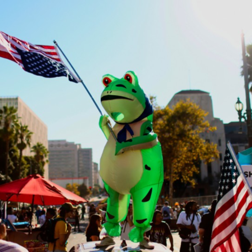 Grenouilles manifestation