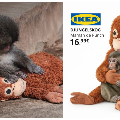 IKEA saisit un moment viral autour d’un singe et transforme une peluche en icône marketing